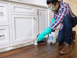 Best Pest Exclusion Services  in Helena West Helena, AR